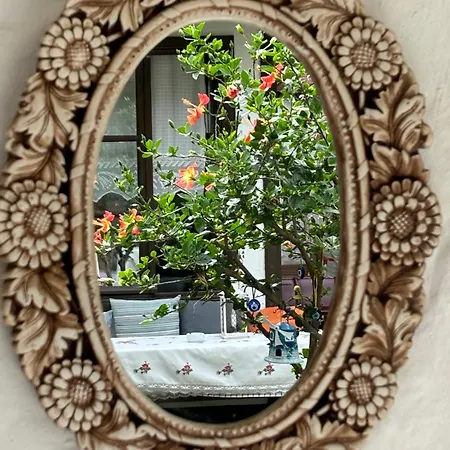 ゲストハウス Tasdelen アラカティ