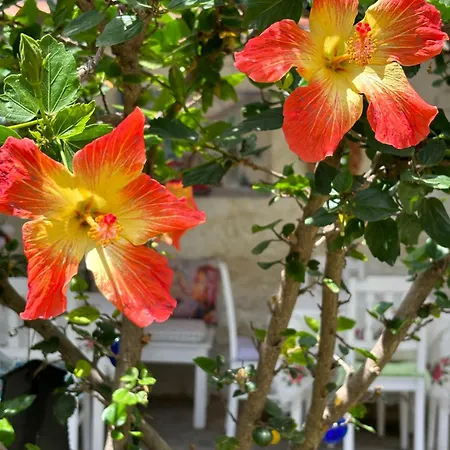 Konukevi Taşdelen Alaçatı