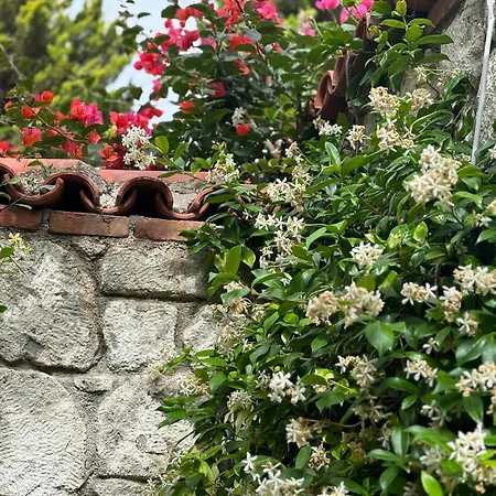 Tasdelen 3* Alaçatı